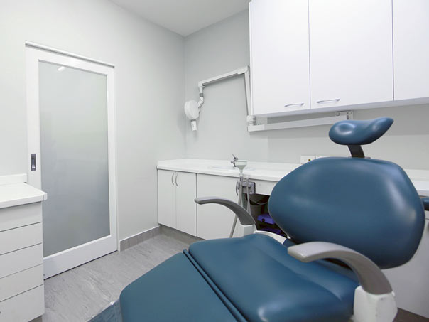 Bayview Dentist Chair