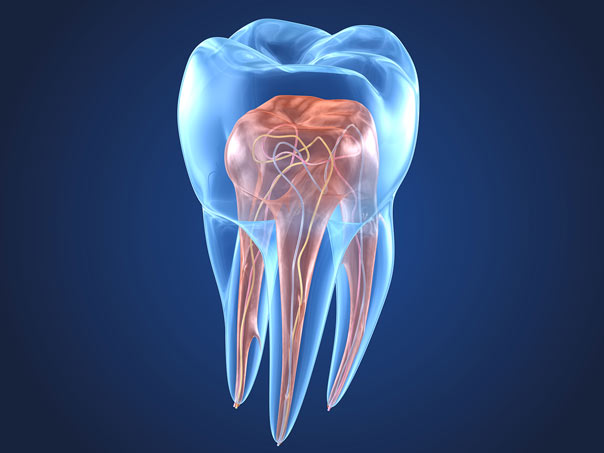 Root Canal Treatment